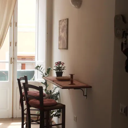 Nicandra Couette-café *
